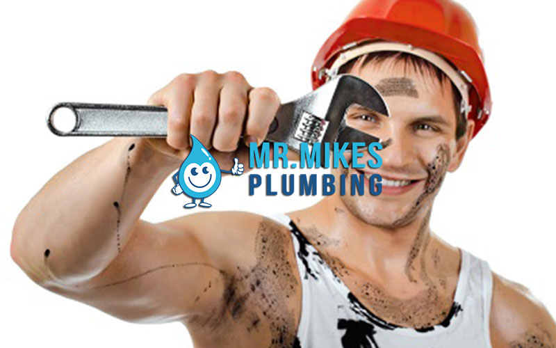 local plumber